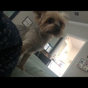 Meet your Posher, Sarah